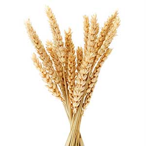 Is Gluten Free for Me?